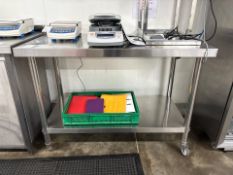 Stainless Steel Mobile Table