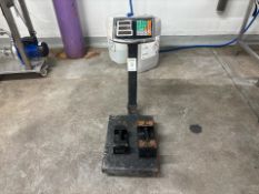Platform Weighing Scales