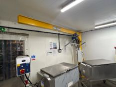 Stahl 125kg Overhead Crane and Hoist