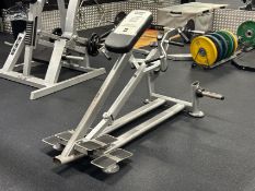 Plate Loaded Row