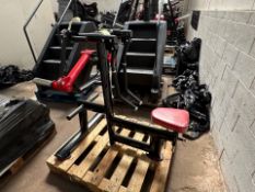 Plate Loaded Lateral Assist Machine