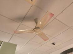 Newlec Ceiling Fan x2