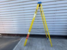 Werner 8 Step 2.20m Ladders THX 21679