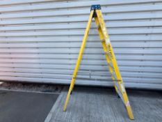 Werner 8 Step 2.20m Ladders THX 26551