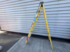 Zarges Fiberglass 8 Step 2.20m Ladders THX 25840