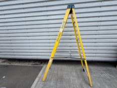 Werner 8 Step 2.20m Ladders