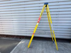 Werner 8 Step 2.20m Ladders THX12124