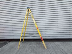 Werner 10 Step 2.7m Ladders