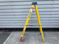 Werner 6 Step 1.68m Ladders THX31142