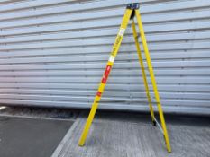 Youngman 8 Step 2.20m Ladders THX14839