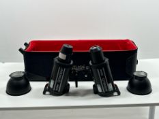Pair Of Godox QT600II Flash Heads With Reflectors And Coreflash CF-D300 Case Model - QT600II
