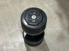 Hammer Strength 42kg Dumbbell