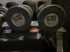 Pair Of 22.5KG Jordan Dumbbells