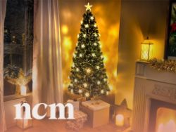 ZERO RESERVE Christmas Warehouse Clearance, Pre-Lit Artificial Trees, Lights, Decorations, Snowmen, Reindeers, Baubles, Mixed Pallet & More