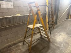 Werner MegaStep Step Ladders - No Reserve