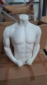 Male Bust - White - No Base