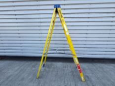 Werner 8 Step 2.20m Ladders THX 21806