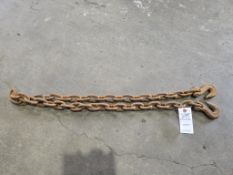 5ft x 3/8in Transport Chain