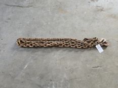 12ft x 3/8in Transport Chain
