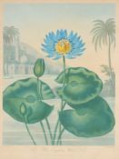 AFTER PETER CHARLES HENDERSON (ACTIVE 1791-1829)