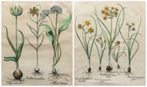 BASILIUS BESSLER (DUTCH 1561-1629)