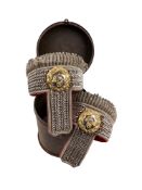 A LIGHT INFANTRY OFFICER'S WINGS