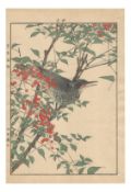 Imao Keinen, Braunohr-Bulbul, 1892, Print