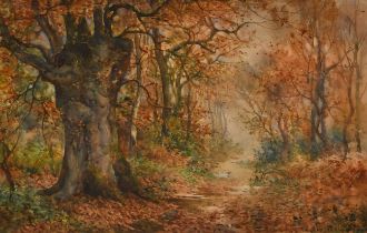 Thomas Tayler Ireland (act.1880-1927) British. Woodland Path, Watercolour, Signed, 13.25" x 19.