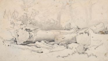 Attributed to Henry Bright (1814-1873) British. 'A Fallen Log', Pencil, Inscribed on labels verso,