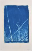 20th Century English School. The Blue Grass, Cyanotype, Indistinctly signed, numbered 1/15 and dated