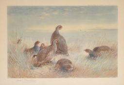 Archibald Thorburn (1860-1935) British. 