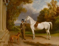 James Pardon (1792-1862) British. Horse and Groom, Oil on canvas, Signed and dated 1849, 28" x