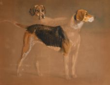 Early 19th Century English School. Study of Two Hounds 