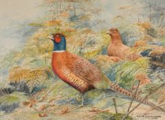 Dorothy Margaret Alderson (1900-1992) and Elizabeth Mary Alderson (1900-1988) British. Pheasants