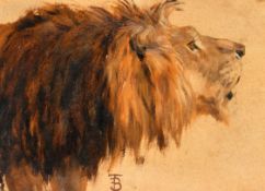 Thomas Blinks (1860-1912) British. The Head of a Lion, Oil on paper laid down, Signed with monogram,
