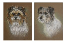 Marjorie Cox (1915-2003) British. A Pair of Terrier Portraits, Pastel, Signed, 13