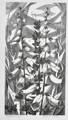 Monica Poole (1921-2003) British. 
