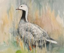Emma Faull (1956-) British. 