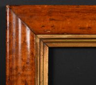 19th Century English School. A Maple Frame, with a gilt slip, rebate 5.5
