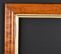 19th Century English School. A Maple Frame with a gilt slip, rebate 20