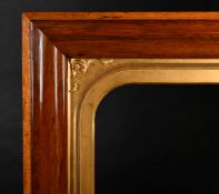 19th Century English School. A Darkwood Frame, with a maple outer edge and arched gilt slip,