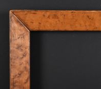 19th Century English School. A Maple Frame, rebate 15.25