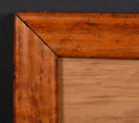 19th Century English School. A Maple Frame, with inset glass, rebate 4.25