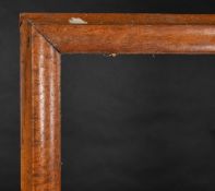 19th Century English School. A Maple Frame, rebate 46.75
