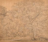 19th Century German School. Study of a Woodland, Pencil and wash heightened with white, Inscribed