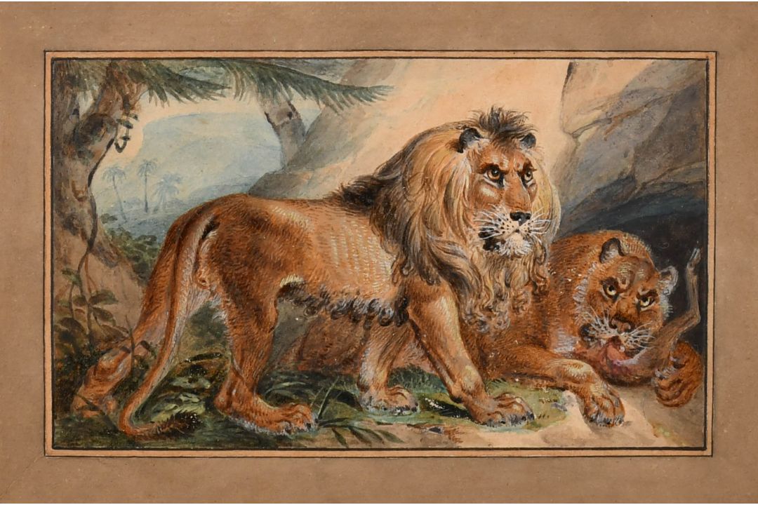 Follower of William Huggins (1820-1884) British. A Lion and Lioness at their Den, Watercolour and - Image 1 of 3