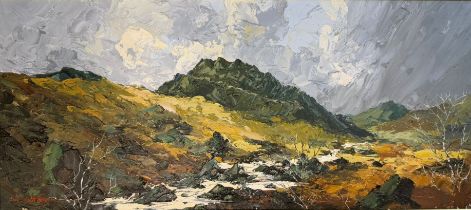 Charles Wyatt Warren (Welsh 1908-1983), Snowdonia mountain landscape with foaming stream, signed.
