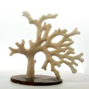 Koralle 59.76 g. ca. Laenge 11 cm  x Breite 5 cm x Hoehe 12 cm