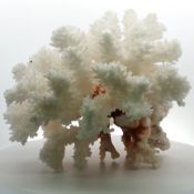 Farbsteinobjekt Koralle ca 581.72 gr. Hoehe ca 15 cm Laenge ca 18 cm Breite ca 18 cm