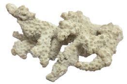 Farbstein Koralle ca. 129.62 g. Laenge ca. 13 x Breite ca. 5.0 x Hoehe ca. 8.0